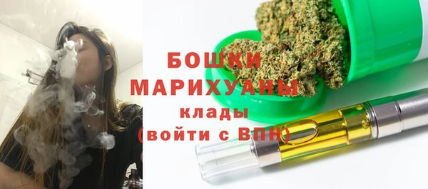 МДПВ Алексеевка