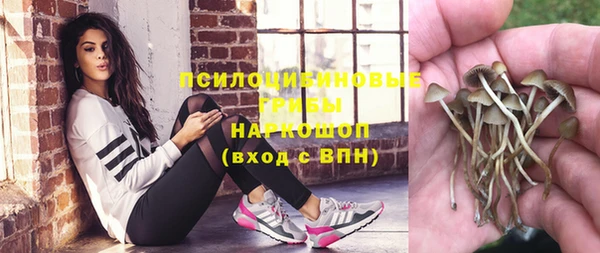 прущая мука Магас