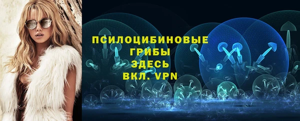 МДПВ Алексеевка